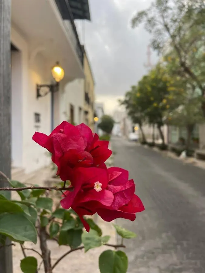 Vbermor Hotel Santo Domingo Dominican Republic