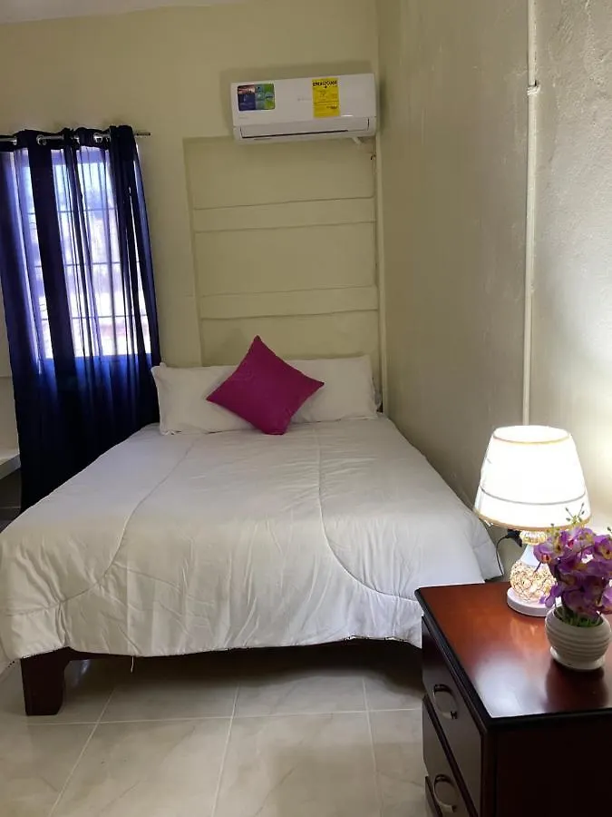 Vbermor Hotel Saint-Domingue 0*,